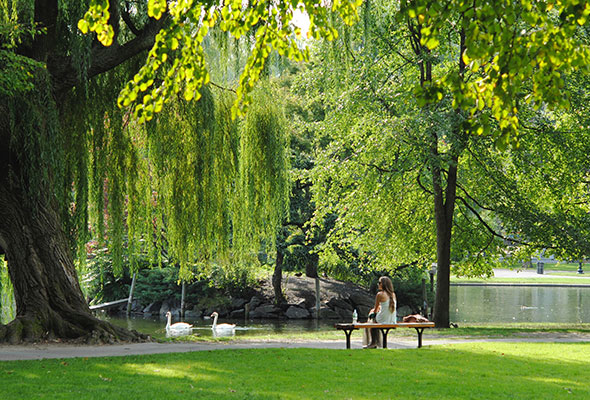 A park and pond, examples of open spaces